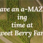 Sweet Berry Farms maze!